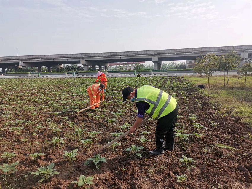 24小时上下分捕鱼电玩城